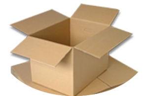 Regular Slotted Carton (RSC) Box